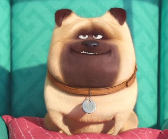El cine se llena de 'Trolls' y 'Mascotas' en 2016 El cine se llena de 'Trolls' y 'Mascotas' en 2016