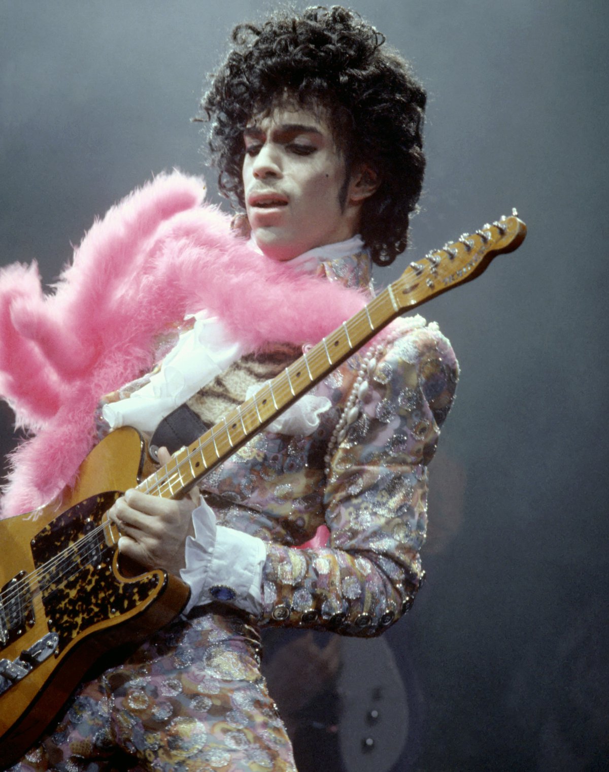 La vida de Prince, en imágenes La vida de Prince, en imágenes