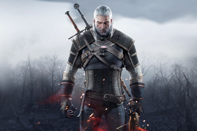The Witcher The Witcher