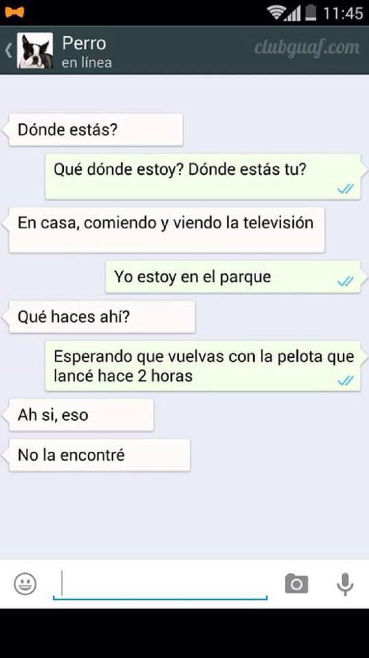 Si mi perro tuviera Whatsapp... Si mi perro tuviera Whatsapp...