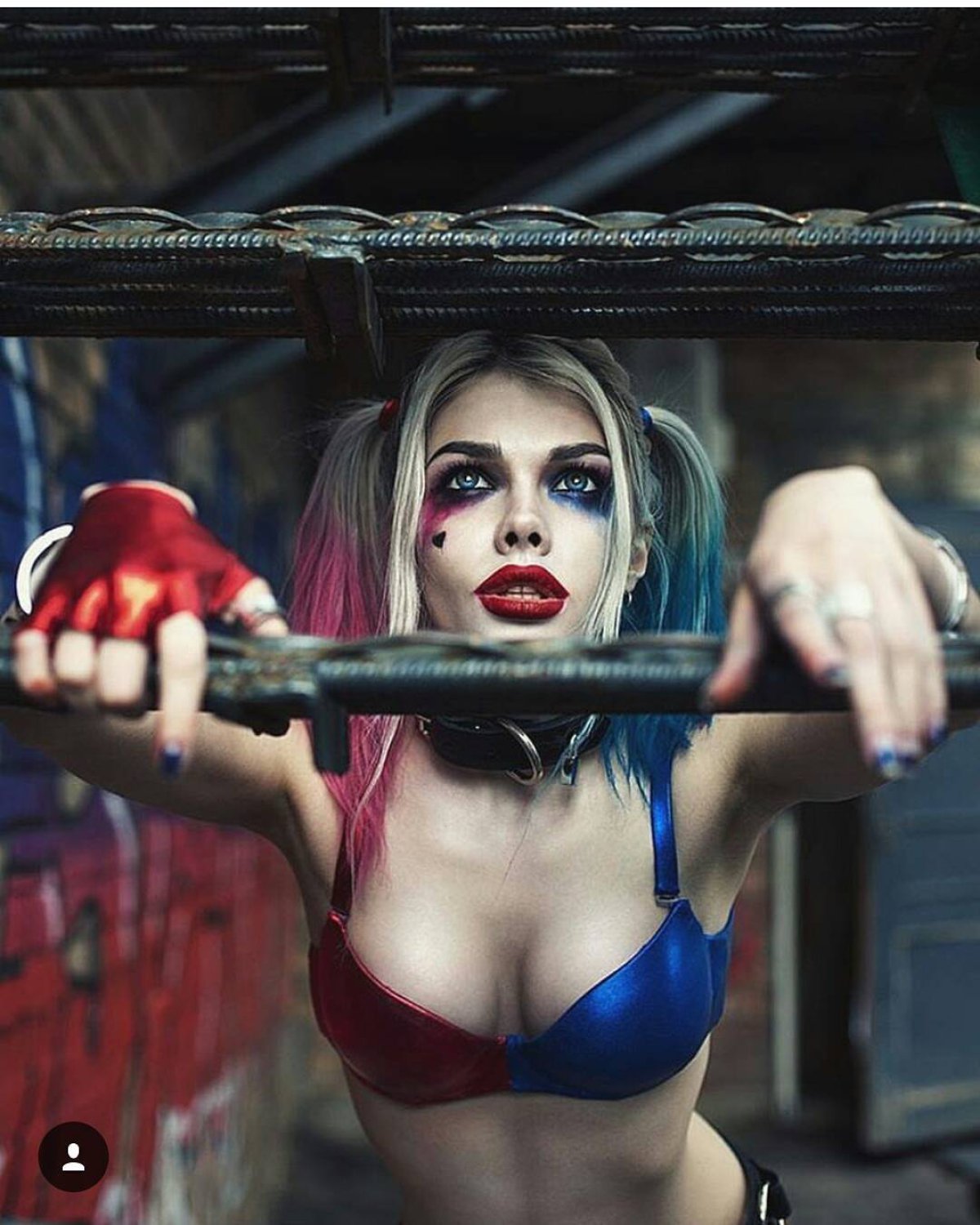 Harley Quinn Harley Quinn