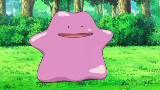 Ditto Ditto