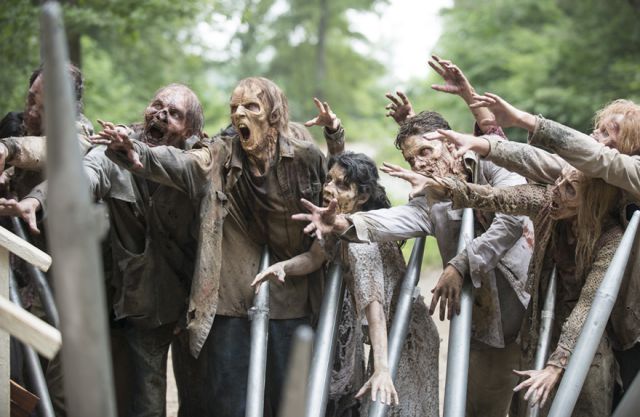 The Walking Dead The Walking Dead