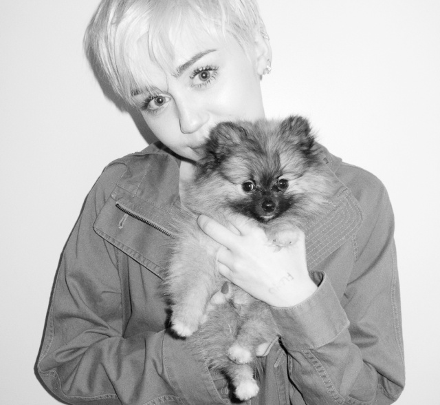 Miley Miley