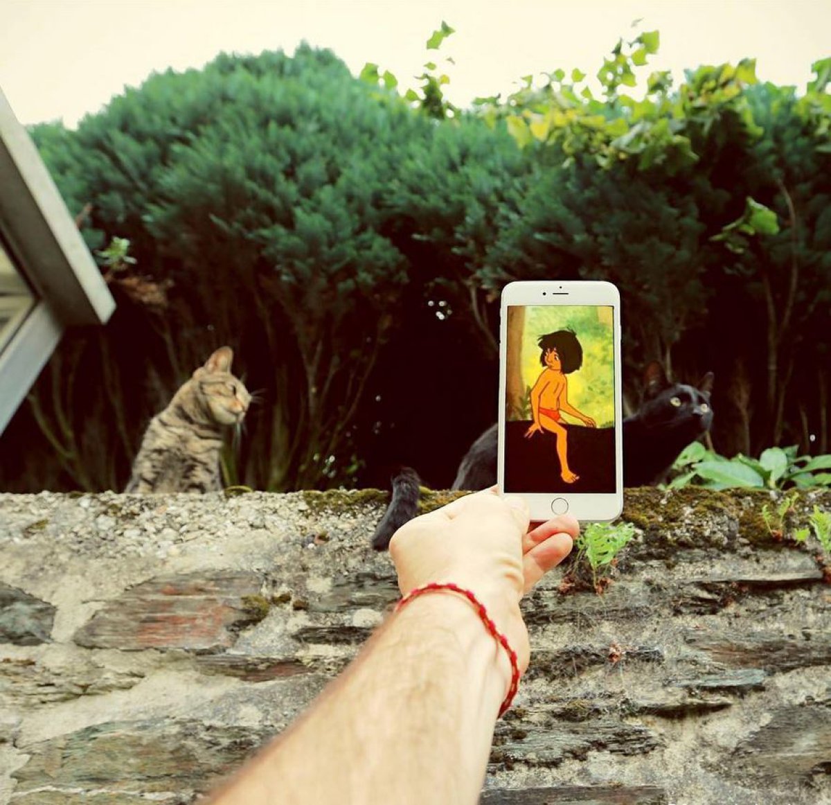 En este Instagram el móvil no solo sirve para echar fotos En este Instagram el móvil no solo sirve para echar fotos