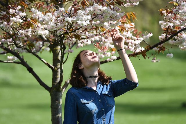 Primavera Primavera