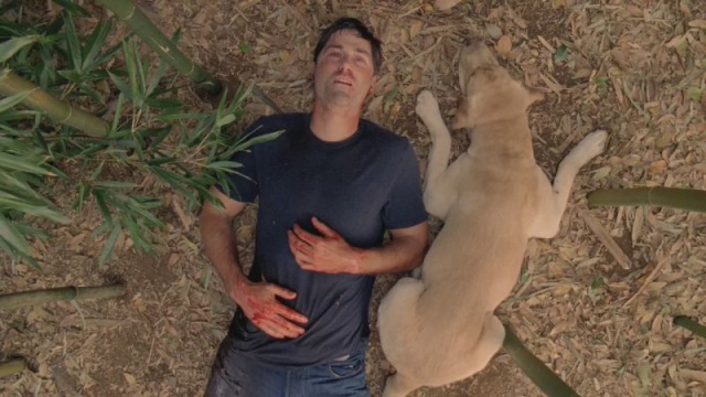 ¿Cuánto sabes del final de las series más famosas? ¿Cuánto sabes del final de las series más famosas?