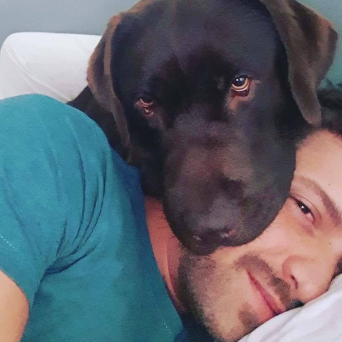 ¿Qué tienen en común Pablo Alborán y las Kardashian? ¿Qué tienen en común Pablo Alborán y las Kardashian?