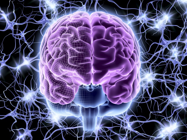 La píldora que duplica tu capacidad cerebral ya está aquí La píldora que duplica tu capacidad cerebral ya está aquí