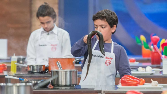 ‘Masterchef’ mostró a un niño descabezando una anguila viva ¿es correcto o no en TVE? ‘Masterchef’ mostró a un niño descabezando una anguila viva ¿es correcto o no en TVE?