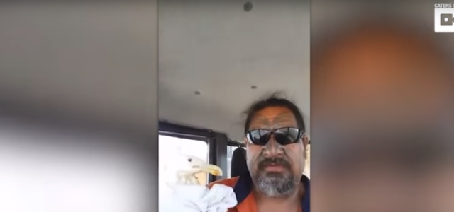 El vídeo viral de la gaviota rescatada no tuvo final feliz El vídeo viral de la gaviota rescatada no tuvo final feliz