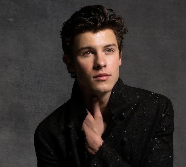 ¿Apoyas a Shawn Mendes y Why Don’t We? ¿Apoyas a Shawn Mendes y Why Don’t We?