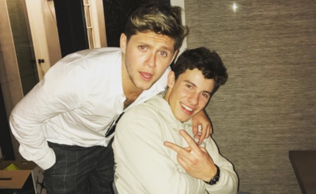 Esta es la respuesta de Niall Horan y Shawn Mendes a una posible colaboración Esta es la respuesta de Niall Horan y Shawn Mendes a una posible colaboración