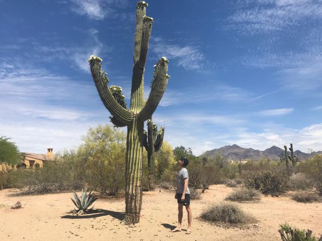 Por fin Joe Alwyn hizo público su Instagram Por fin Joe Alwyn hizo público su Instagram