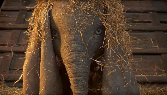 Las películas que no te debes perder a comienzos de 2019 Las películas que no te debes perder a comienzos de 2019