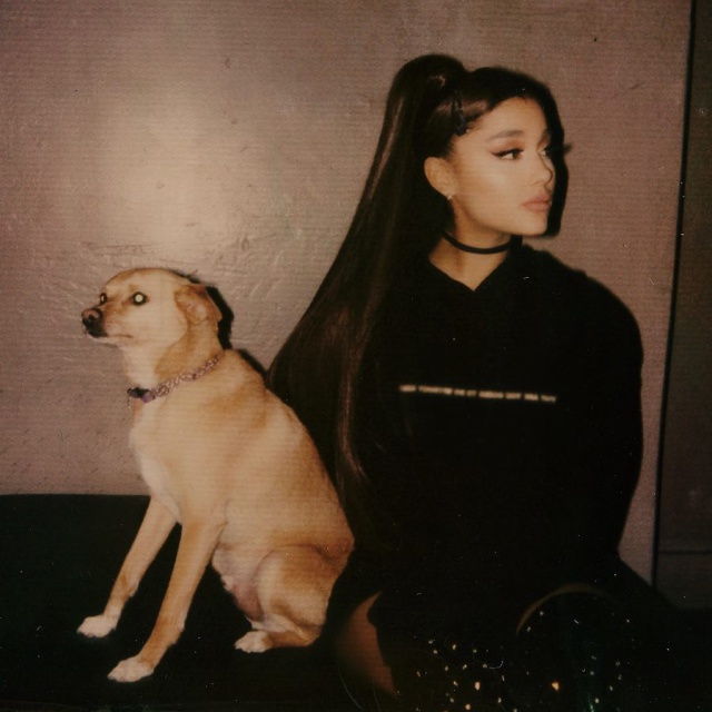 Google filtra la fecha del próximo disco de Ariana Grande Google filtra la fecha del próximo disco de Ariana Grande