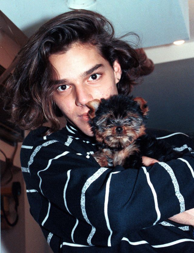 Ricky Martin, un perro y mermelada: 21 años de la primera gran 'fake new' de la historia Ricky Martin, un perro y mermelada: 21 años de la primera gran 'fake new' de la historia