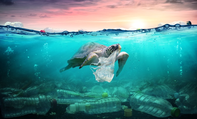 LOS40 ACTÚA POR LA PROTECCIÓN DE LOS OCÉANOS COLABORANDO CON SURFRIDER FOUNDATION EUROPE LOS40 ACTÚA POR LA PROTECCIÓN DE LOS OCÉANOS COLABORANDO CON SURFRIDER FOUNDATION EUROPE