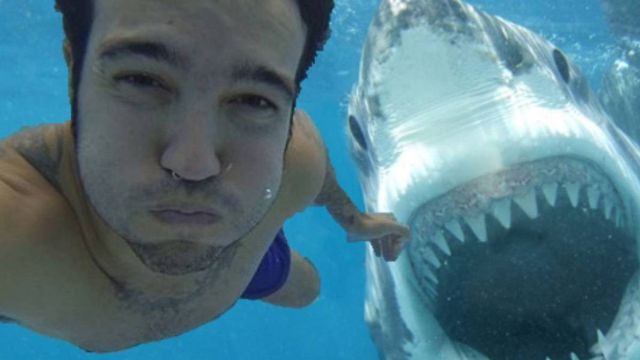 La primera cámara selfie invisible La primera cámara selfie invisible