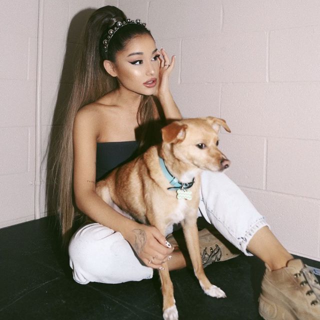 Ariana Grande también cae rendida ante ‘You Need To Calm Down’ de Taylor Swift Ariana Grande también cae rendida ante ‘You Need To Calm Down’ de Taylor Swift