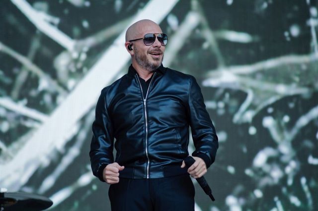 Pitbull Pitbull