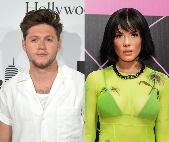 ¿Qué traen Halsey y Niall Horan entre manos? ¿Qué traen Halsey y Niall Horan entre manos?