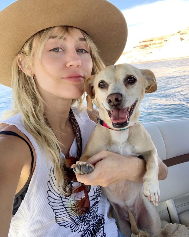 Miley CYrus Miley CYrus
