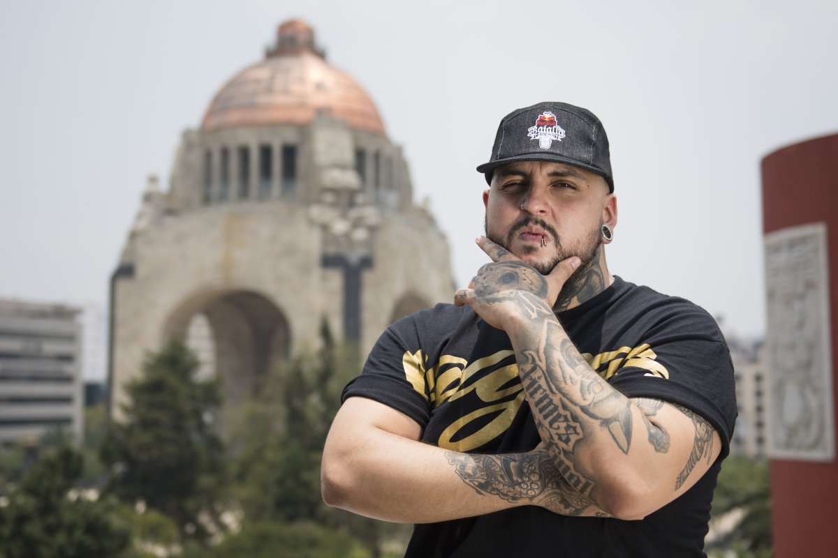 Lobo Estepario Lobo Estepario