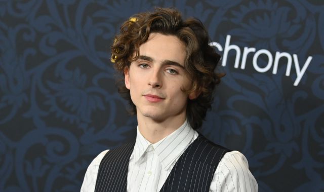 Timothee Chalamet Bob Dylan Timothee Chalamet Bob Dylan