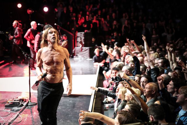 Iggy Pop comparte su concierto en el Royal Albert Hall de 2016 Iggy Pop comparte su concierto en el Royal Albert Hall de 2016