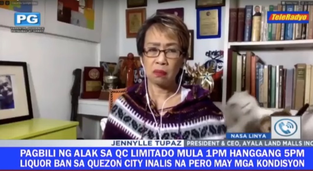 Una pelea entre dos gatos se cuela en la conexión más surrealista de una periodista Una pelea entre dos gatos se cuela en la conexión más surrealista de una periodista
