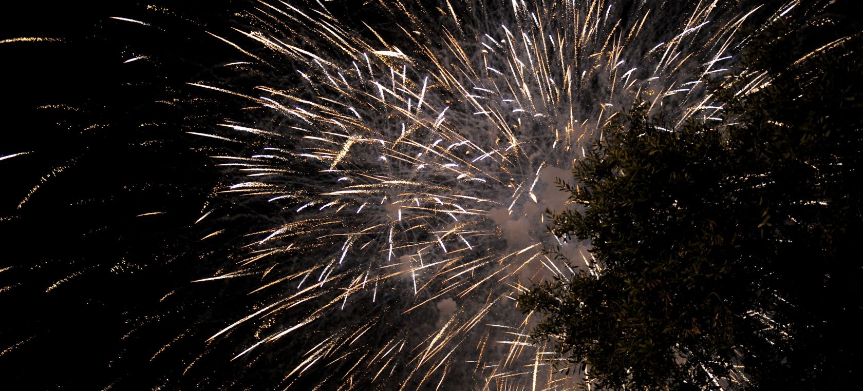 Focs Artificials Focs Artificials