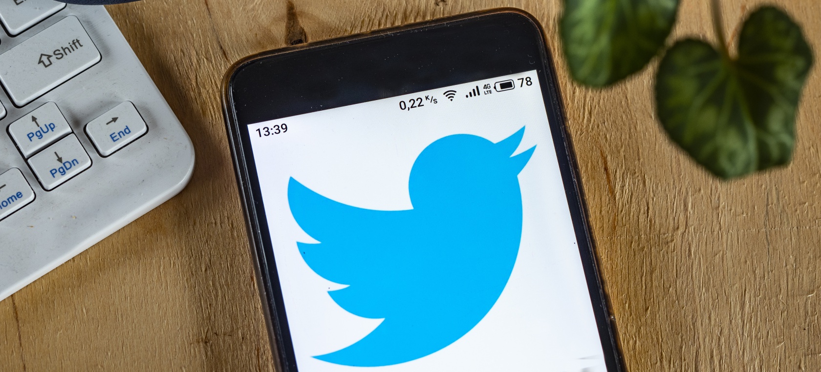 Twitter se plantea activar el botón de ‘No me gusta’ Twitter se plantea activar el botón de ‘No me gusta’