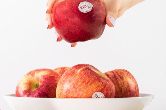 Concurs: Una dieta més sana i saludable amb la ràdio i Envy Concurs: Una dieta més sana i saludable amb la ràdio i Envy