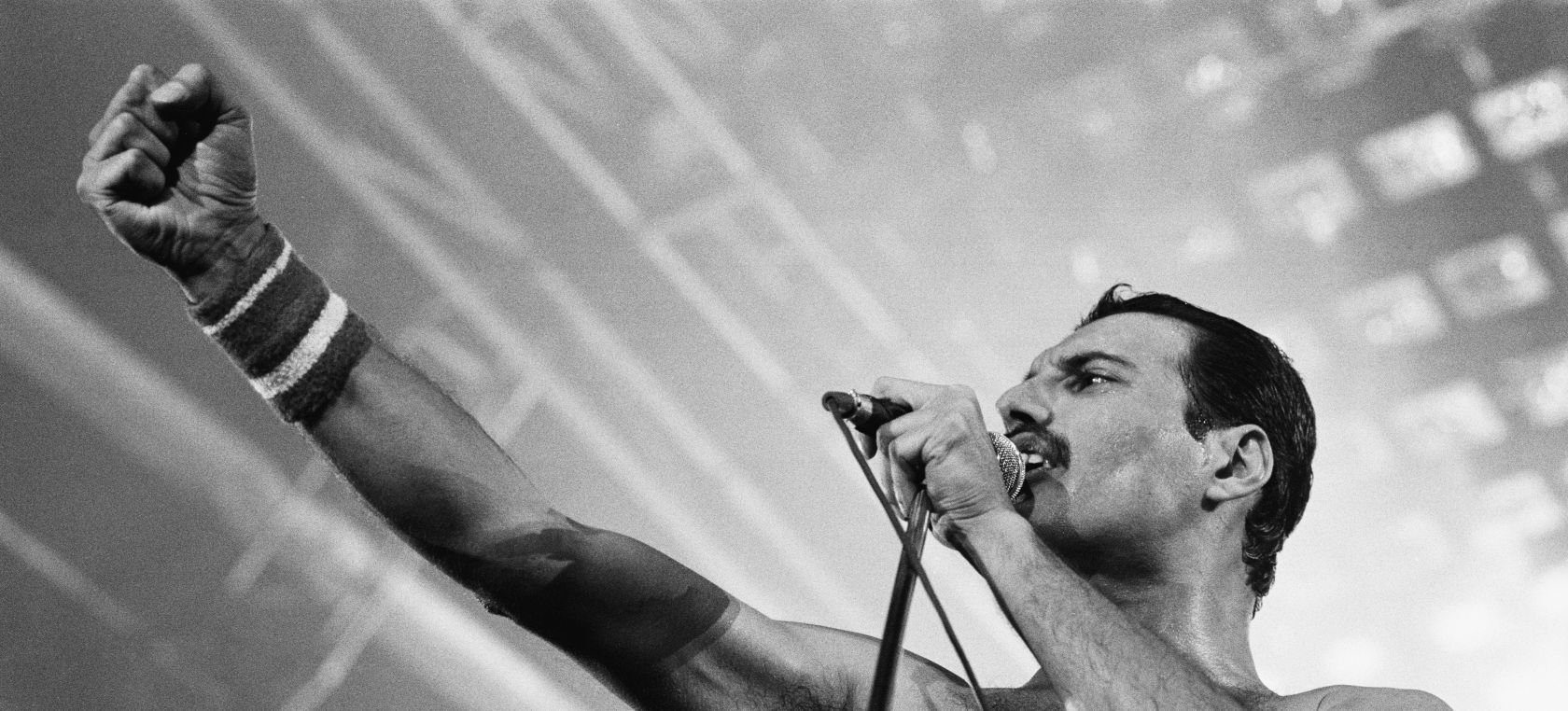 Freddie Mercury y su corta pasión por el boxeo: Freddie Mercury y su corta pasión por el boxeo: