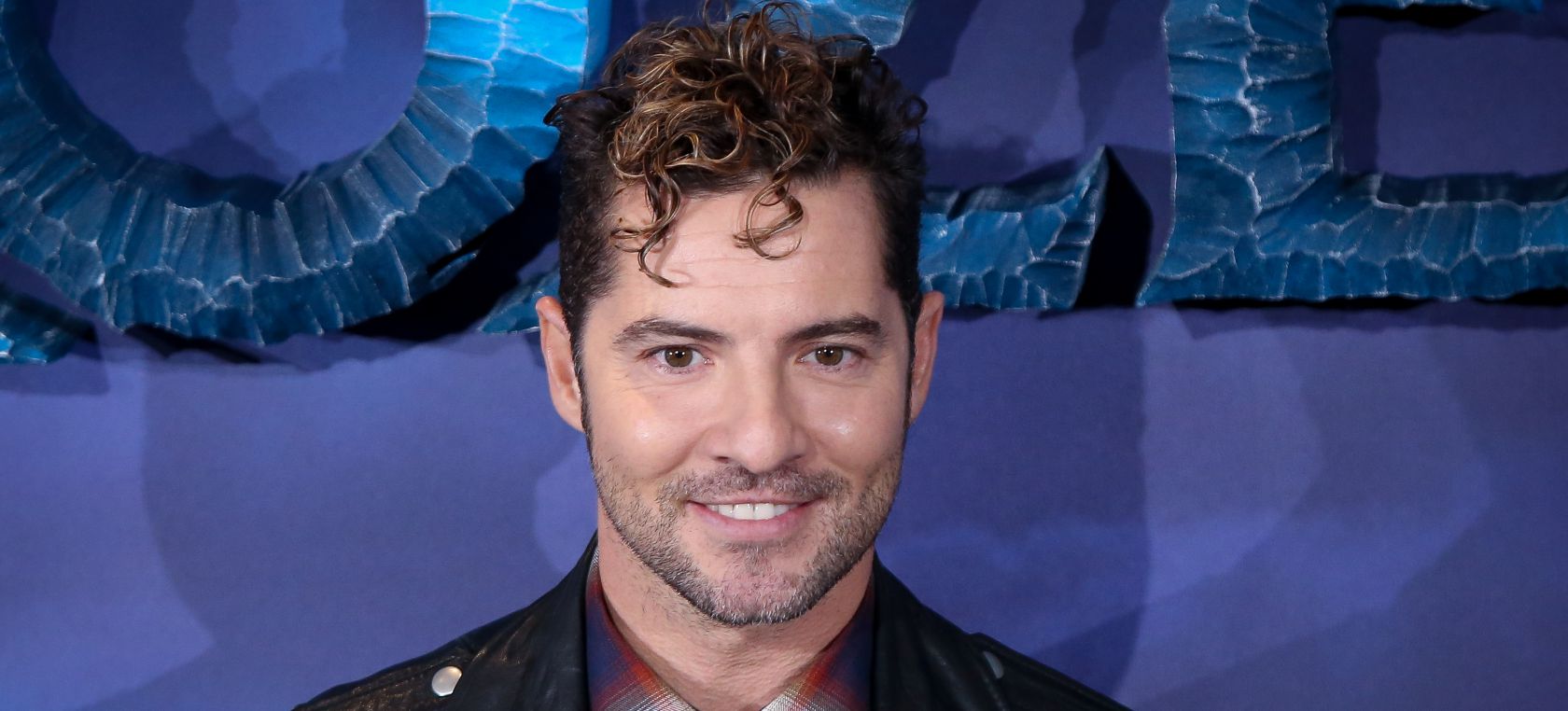 David Bisbal David Bisbal