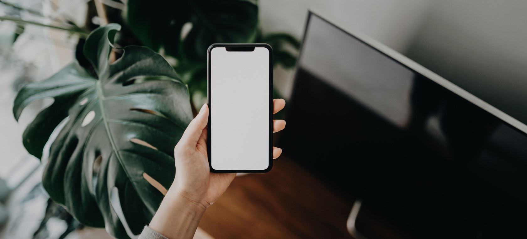 iOS 14.5: éstas son las novedades que incluye la nueva actualización de iPhone iOS 14.5: éstas son las novedades que incluye la nueva actualización de iPhone