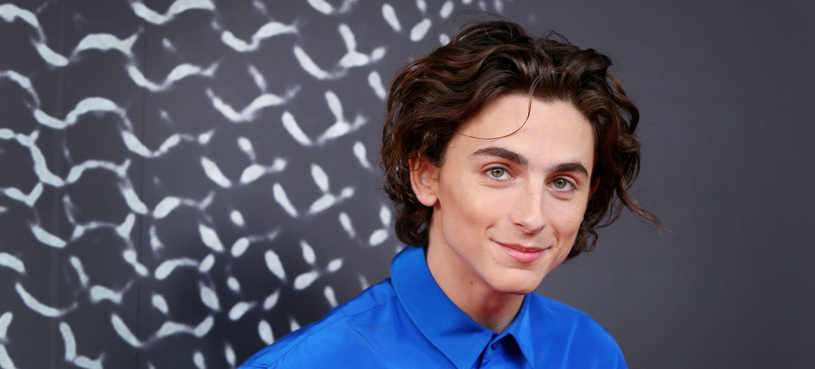 Timotheé Chalamet será Willy Wonka en una película donde desatará su vena más musical Timotheé Chalamet será Willy Wonka en una película donde desatará su vena más musical