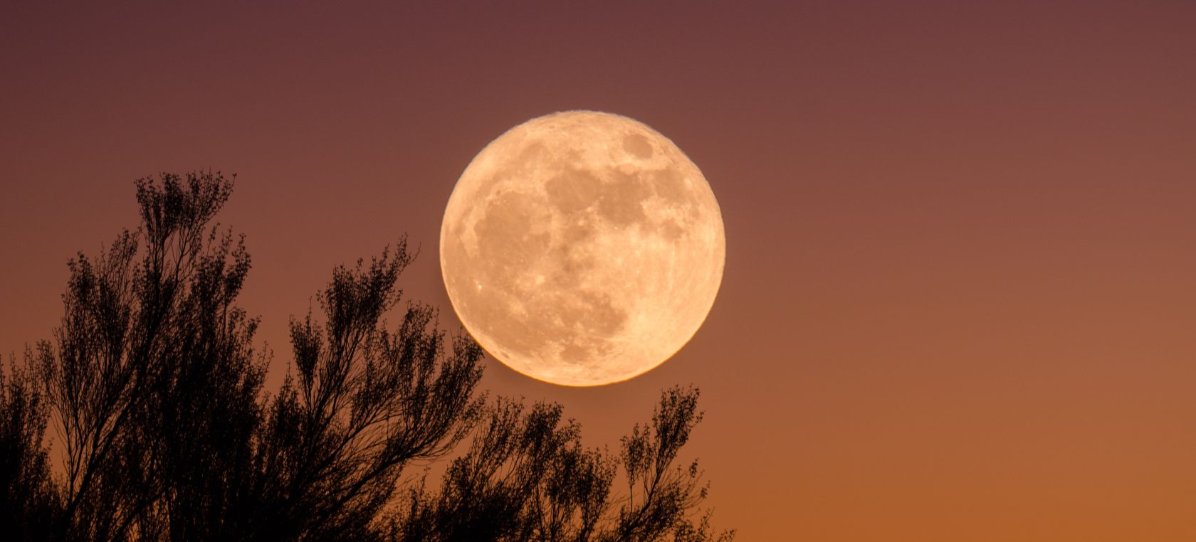 Esta noche llega la Superluna de las Flores y un eclipse total de Luna Esta noche llega la Superluna de las Flores y un eclipse total de Luna