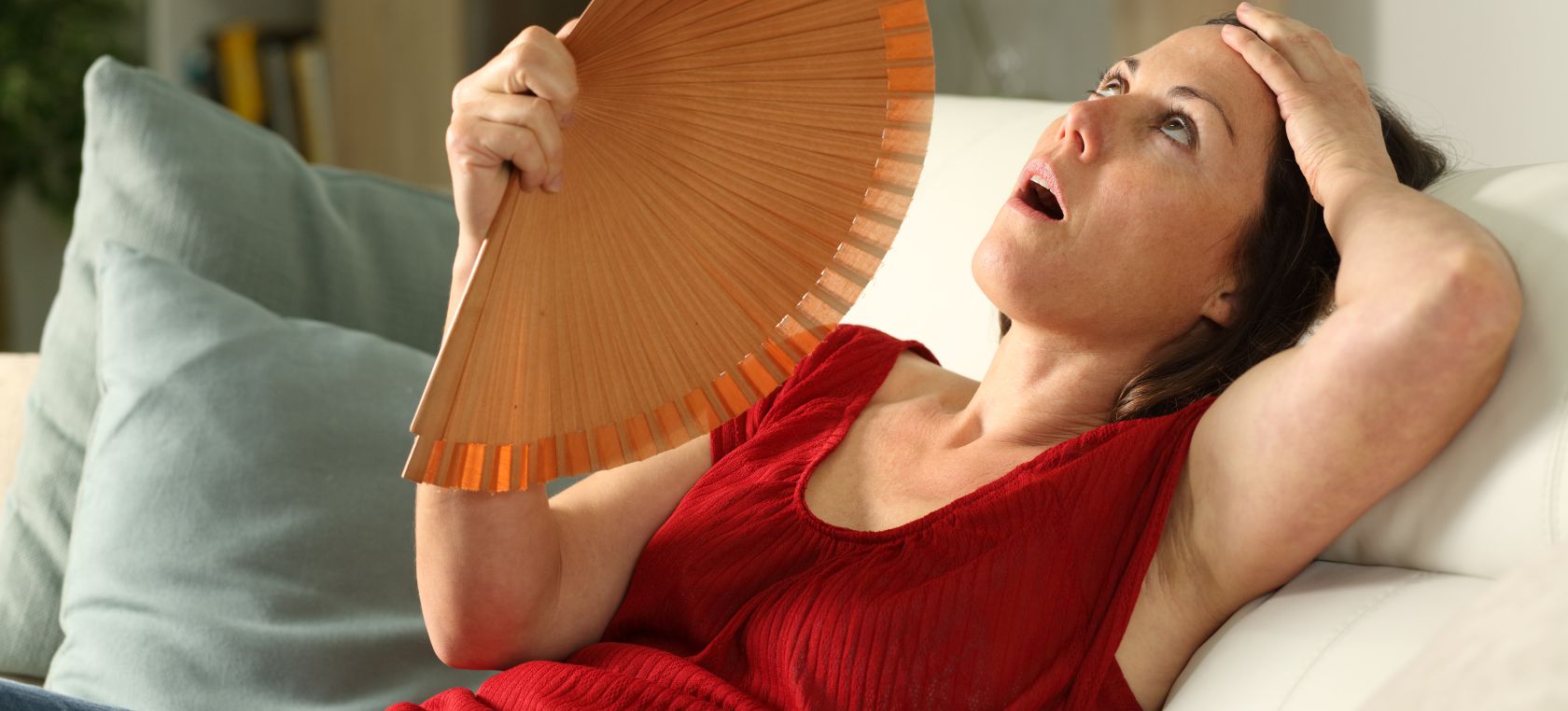 Calor Calor