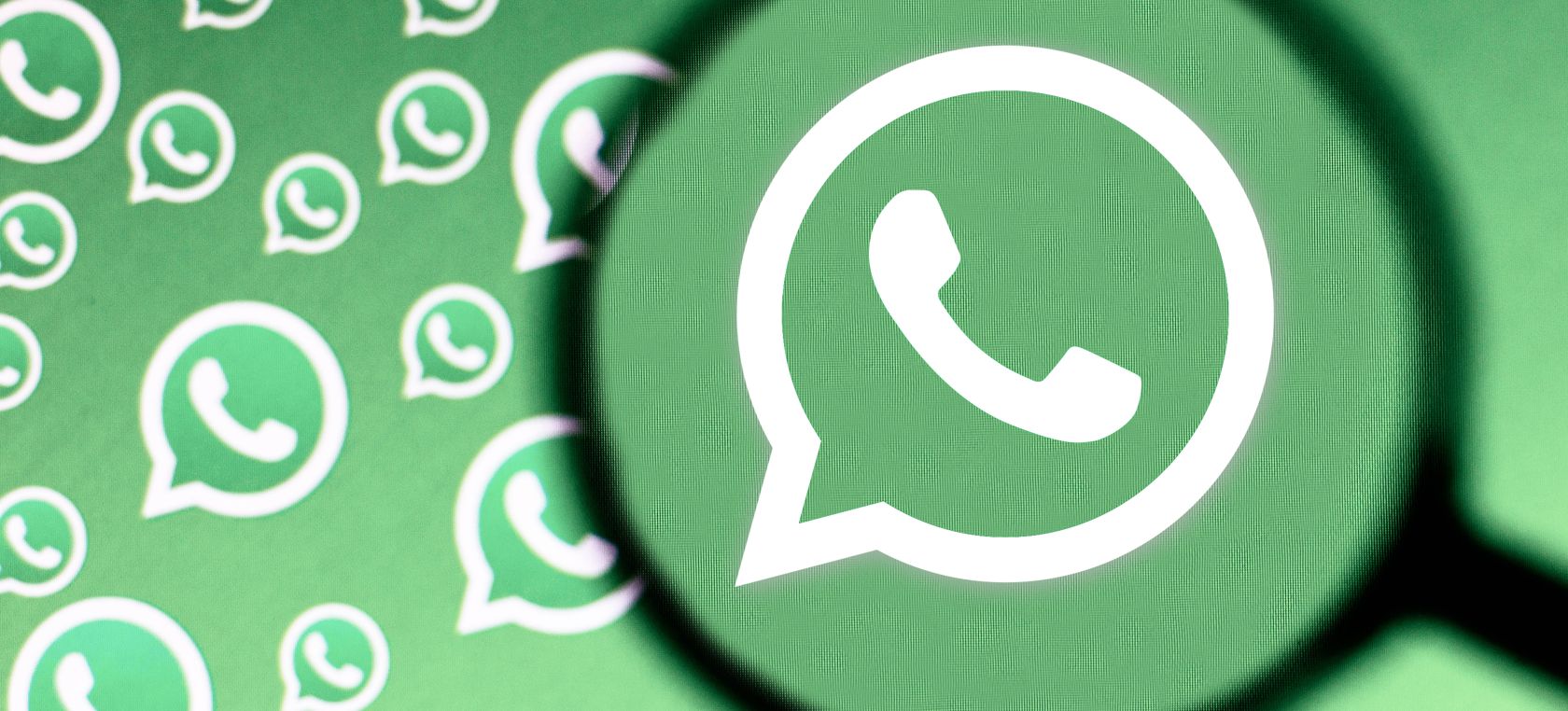El truco para reenviar mensajes por WhatsApp sin que aparezcan como 'reenviados' El truco para reenviar mensajes por WhatsApp sin que aparezcan como 'reenviados'