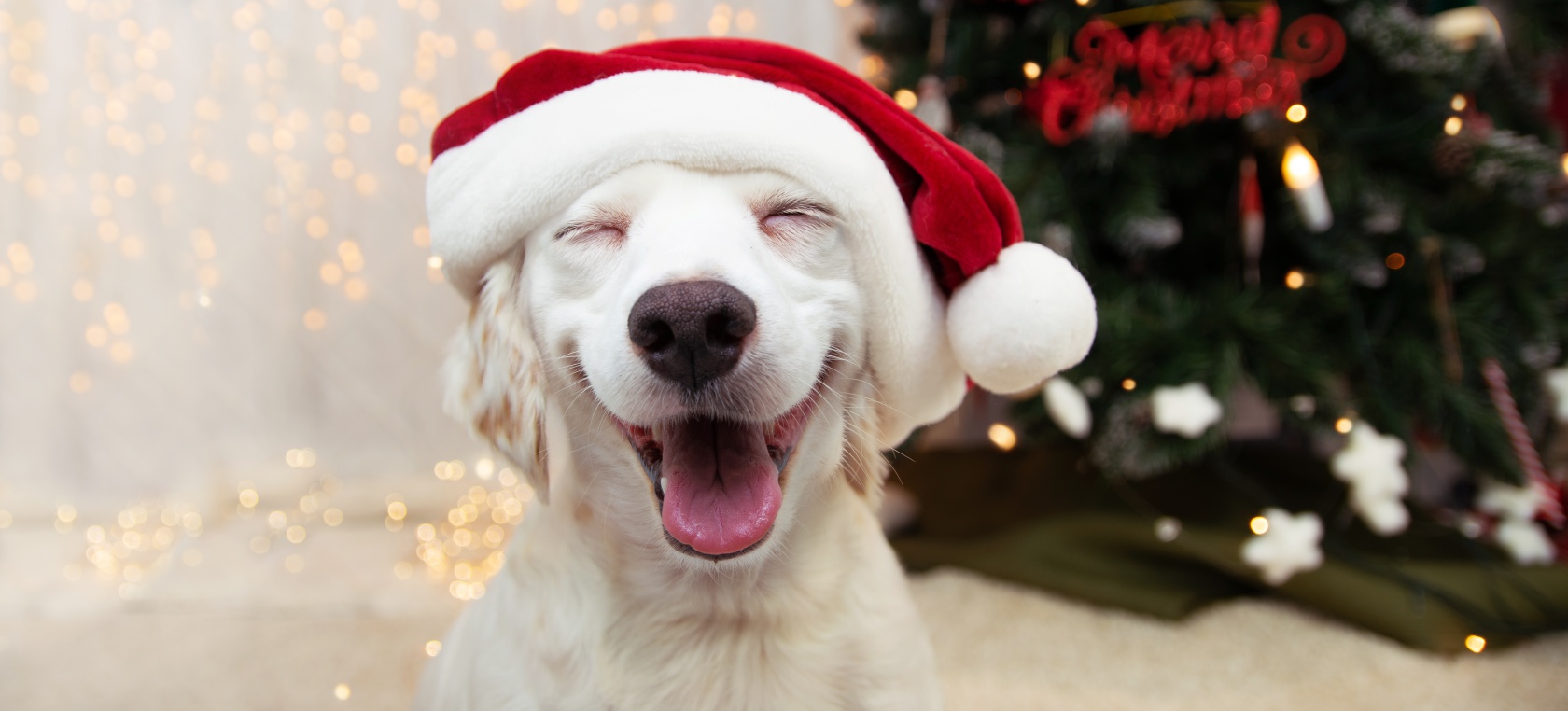 ¿Cuándo es festivo esta Navidad? Lo que dice el calendario laboral de 2021 ¿Cuándo es festivo esta Navidad? Lo que dice el calendario laboral de 2021