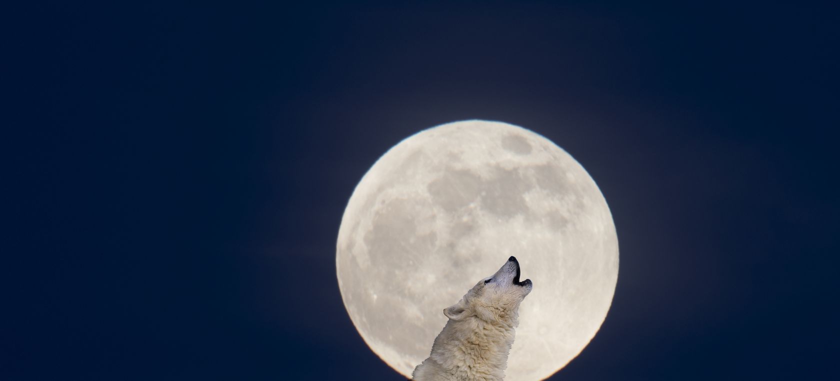 Luna del lobo 2022: origen, cuándo y cómo verla Luna del lobo 2022: origen, cuándo y cómo verla