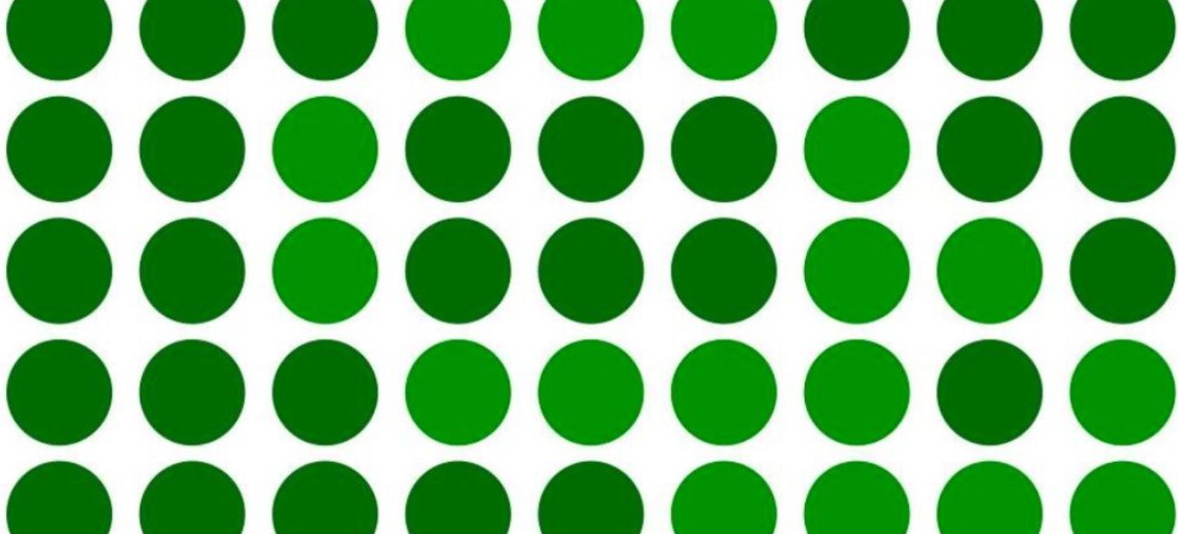 El reto visual que solo superan los más audaces: ¿Puedes ver el óvalo y el triángulo? ¡Tienes 10 segundos! El reto visual que solo superan los más audaces: ¿Puedes ver el óvalo y el triángulo? ¡Tienes 10 segundos!