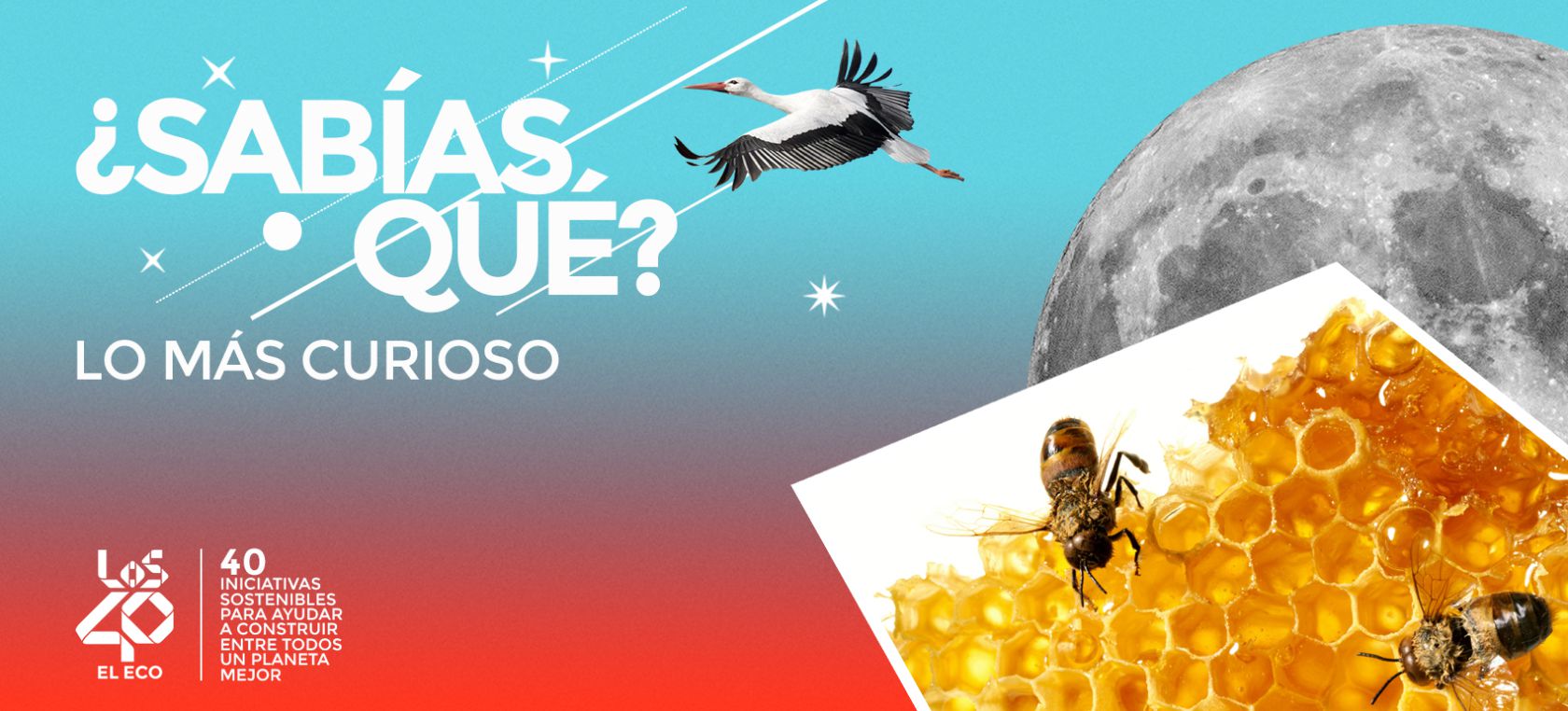 ‘El Eco de LOS40’: Abejas matemáticas, gusanos come plástico... ‘El Eco de LOS40’: Abejas matemáticas, gusanos come plástico...