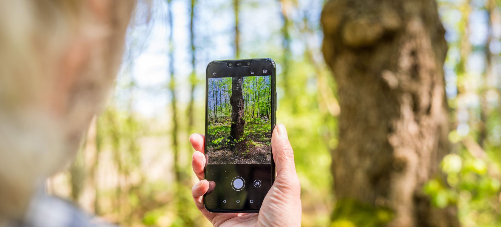Apps para disfrutar en la naturaleza. Apps para disfrutar en la naturaleza.