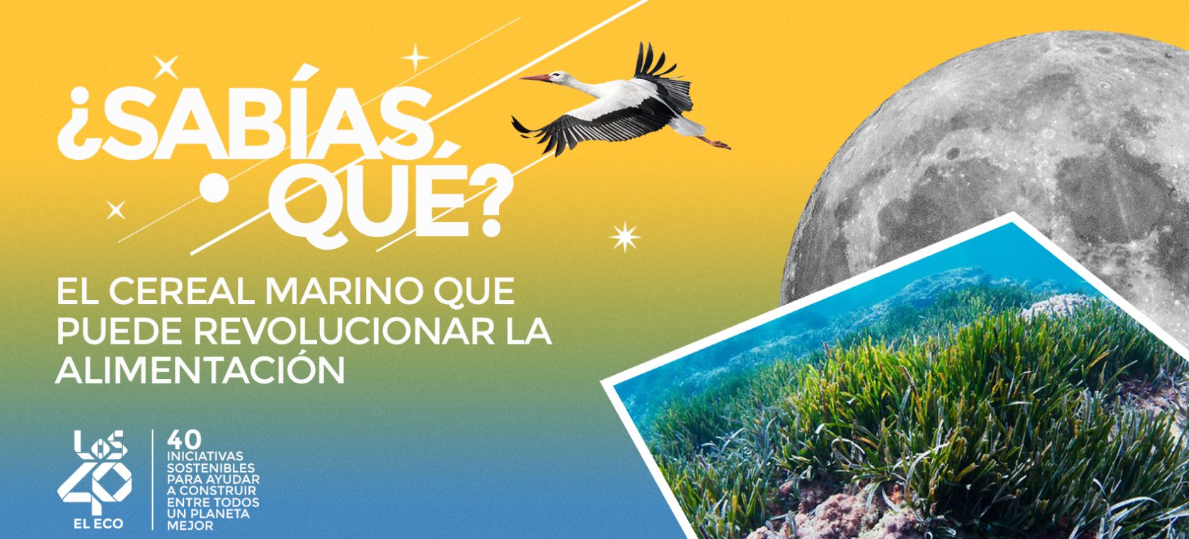 Sabías qué Sabías qué