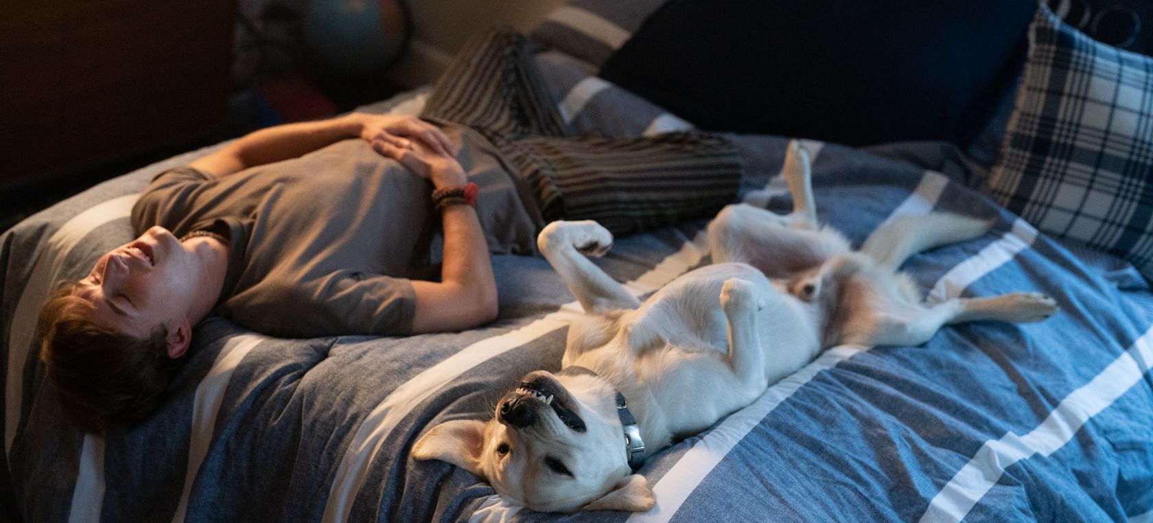 La historia real sobre un perro y su dueño que inspiró 'Perro Perdido', la película que arrasa en Netflix La historia real sobre un perro y su dueño que inspiró 'Perro Perdido', la película que arrasa en Netflix