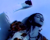 Una rosa es una rosa