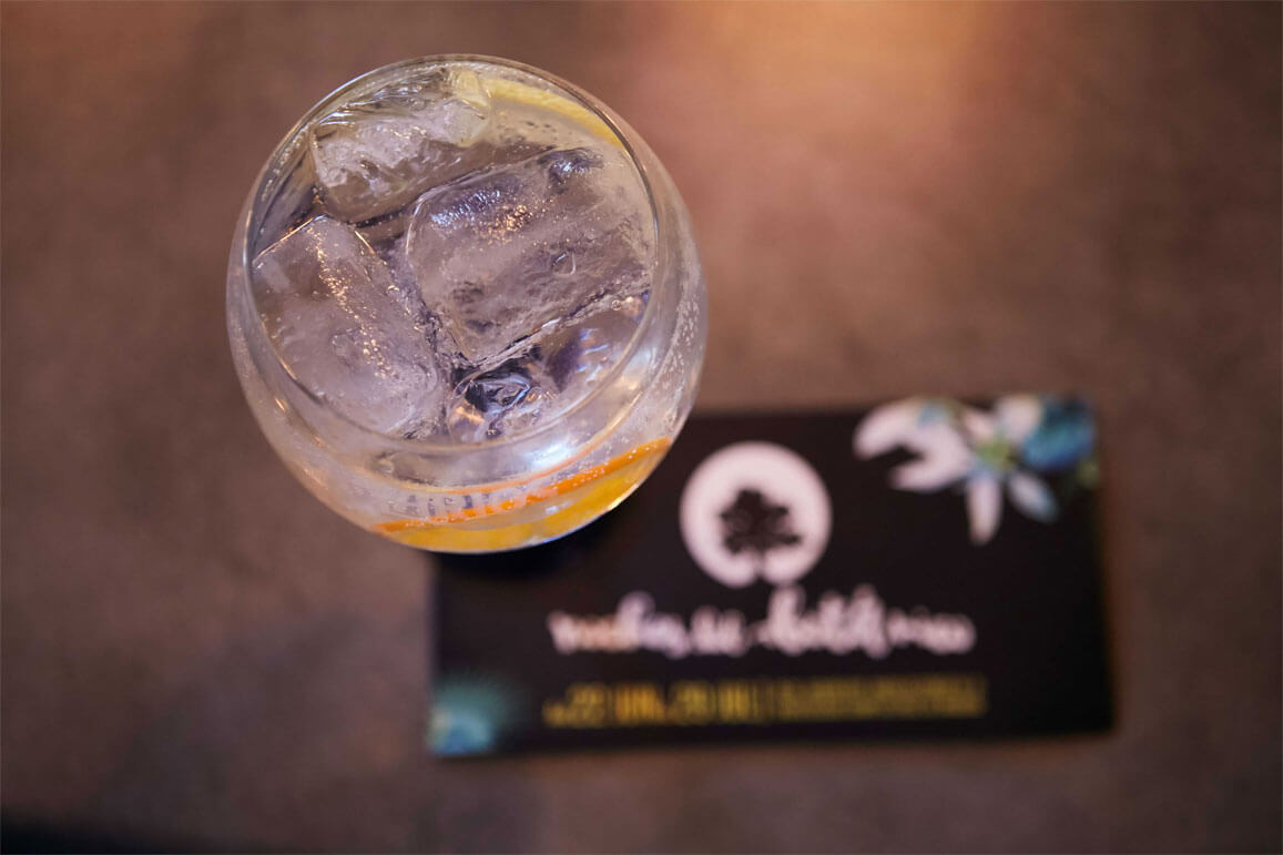 Noches del Botánico